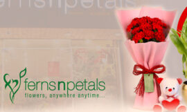 Ferns N Petals Gift Cards; Order from EZ PIN