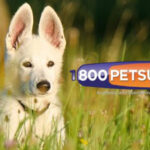 EZ PIN sells 1-800-PetSupplies gift card