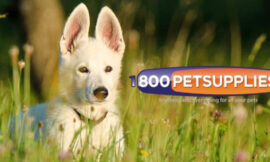 1-800-PetSupplies Gift Card; Best Product for Animal Lovers